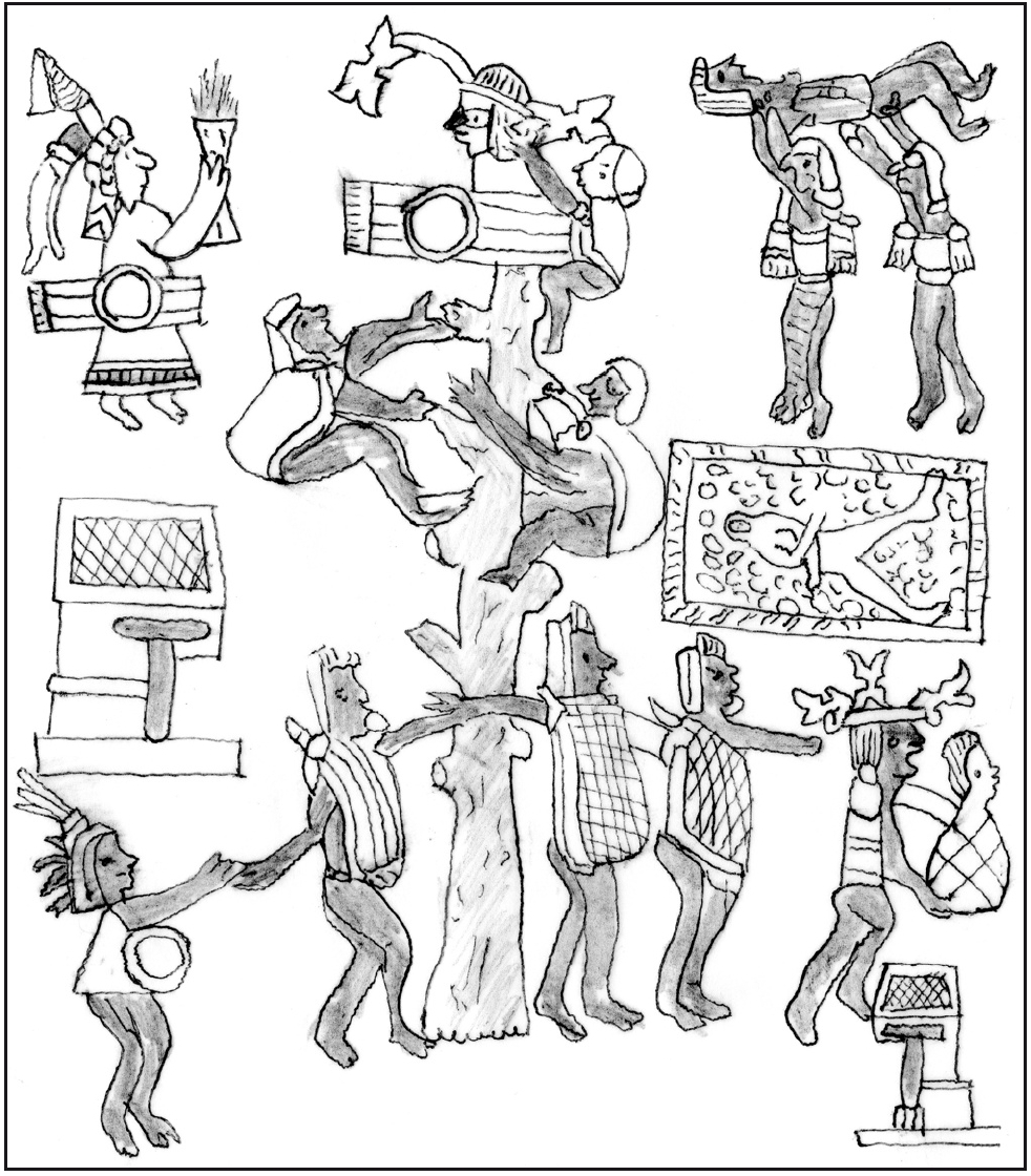 Figura 6. 
