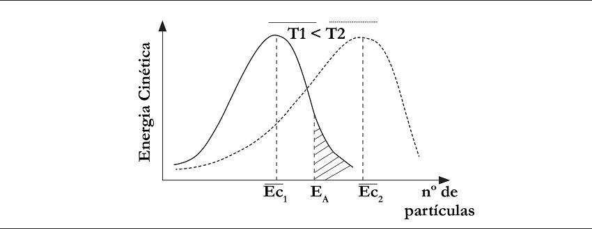 Reprodu&ccedil;&atilde;o da apar&ecirc;ncia final dos gr&aacute;ficos constru&iacute;dos pelo
								professor