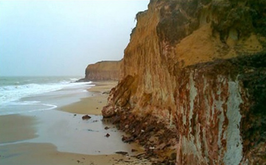 Falésia viva sofrendo ação erosiva do mar, evidenciando horizontes e
							terraço de abrasão marinha