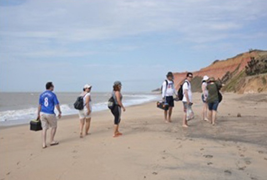 Interação junto ao cordão arenoso