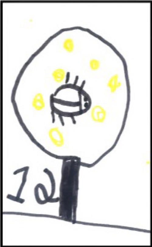 Desenho da lupa observando um besouro (registro 2 da
								Marina)