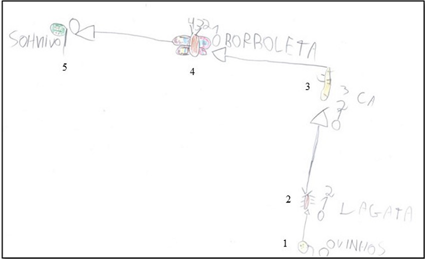 O ciclo de vida das borboletas. (1) ovinhos, (2) lagarta, (3)
								casulo, (4) borboleta, (5) ovinhos tudo de novo (registro 5 do
								Luan)