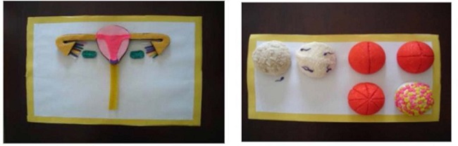 Recurso did&aacute;tico para ensino do tema "Fecunda&ccedil;&atilde;o"