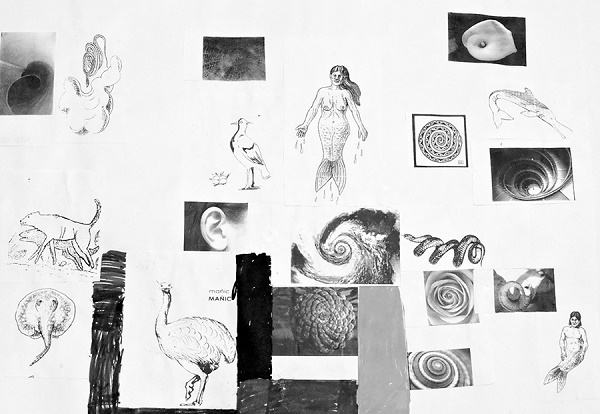 Collage realizado por los estudiantes