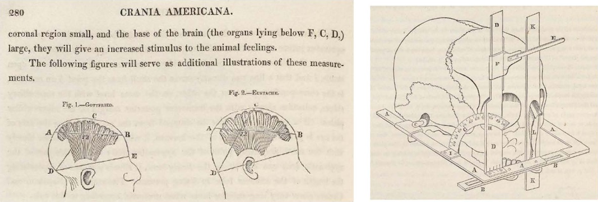 Imagens presentes no livro Crania Americana