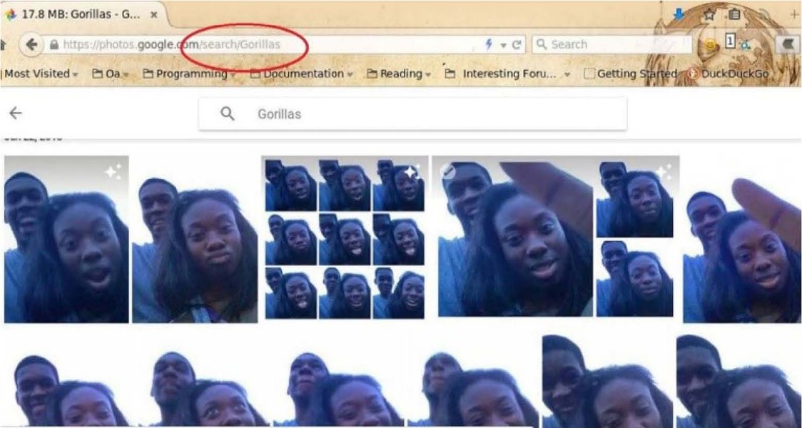 Imagem do Google Photos com destaque para a busca por Gorillas