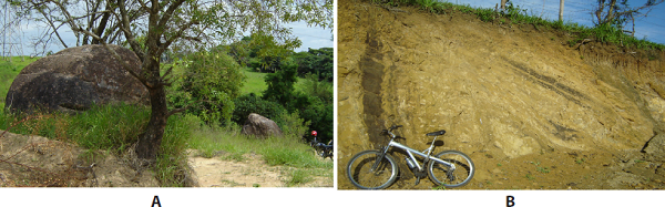 Records of geological phenomena related to Permo-Carboniferous glaciation