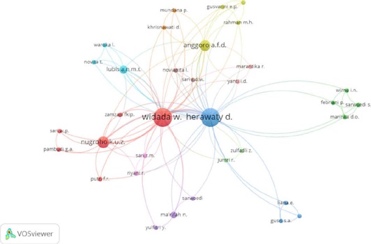 Visualizaci&oacute;n de red de coautor&iacute;a y reporte de principales
                                autores en el campo de la etnomatem&aacute;tica de acuerdo con la Fuerza
                                Total de Enlaces (FTE)