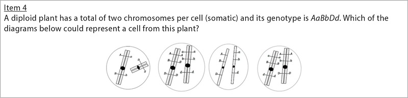 Item 4 of the adapted MCI