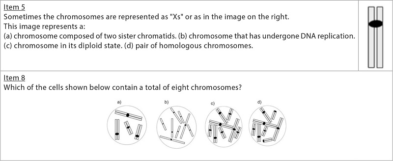 Items 5 and 8 of the adapted MCI
