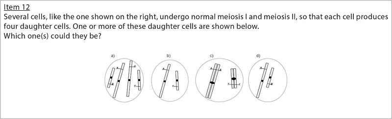 Item 12 of the adapted MCI