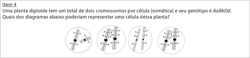 Item 4 do Invent&aacute;rio Conceitual de Meiose (ICM)