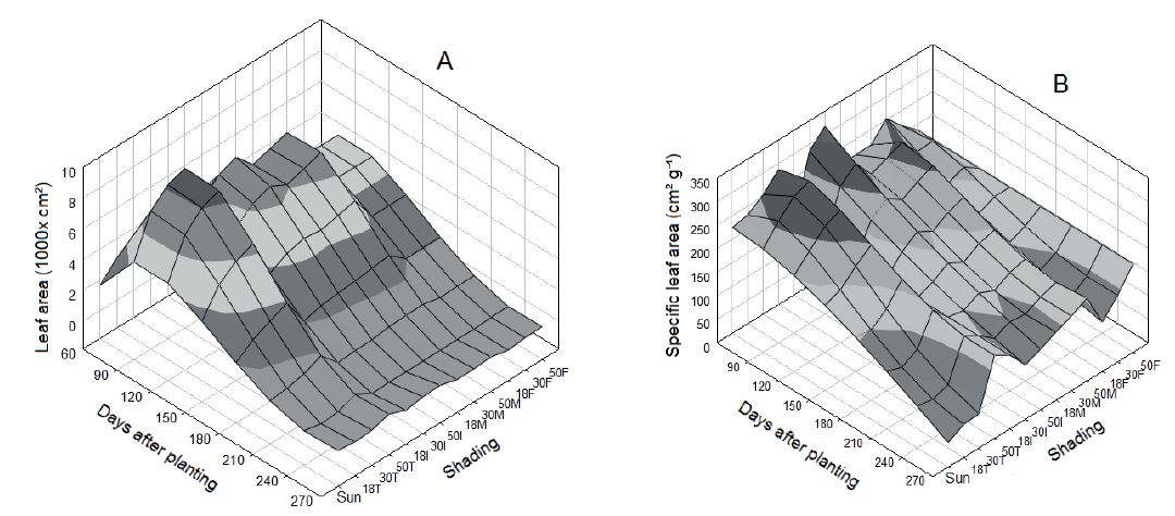 Estimates of leaf area (A), specific leaf area (B), leaf area ratio (C) and leaf mass (D) of &lsquo;Japanese&rsquo; taro plants cultivated under levels [control (sun) and 18 %, 30 % and 50 %] and periods [full time (T), initial (I), intermediate (M) and final period of the cycle (F)] of artificial shading.