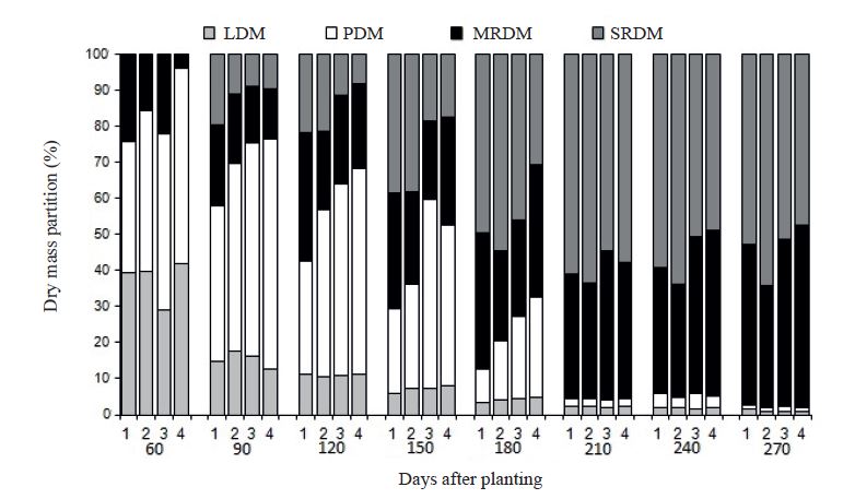 Dry mass partition of &lsquo;Japanese&rsquo; taro plants by day of cultivation (60, 90, 120, 150, 180, 210, 240 and 270 days after planting), subjected to artificial shading at distinct periods (1, 2, 3 and 4 are the control and 18 %, 30 % and 50 % the shading treatments). LDM: leaf dry mass; PDM: petiole dry mass; MRDM: mother-rhizome dry mass; SRDM: son-rhizome dry mass.