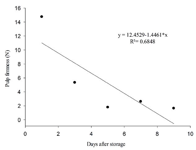Pulp firmness variation of &lsquo;Prata-An�&rsquo; bananas, in ambient conditions, after cold storage.