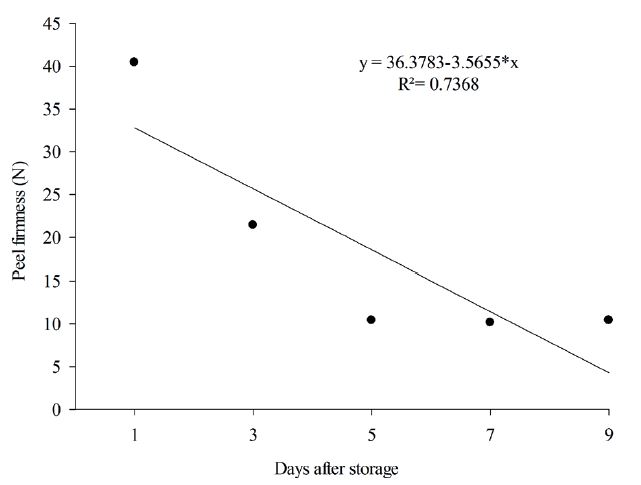 Peel firmness variation of &lsquo;Prata-An�&rsquo; bananas, in ambient conditions, after cold storage.