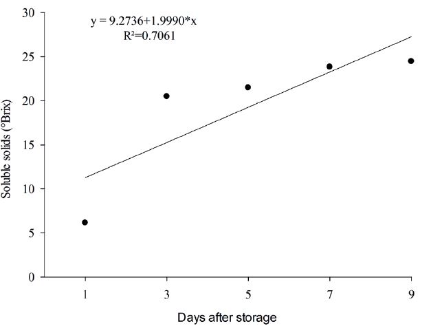 Variation of soluble solids contents of &lsquo;Prata-An�&rsquo; bananas, in ambient conditions, after cold storage.