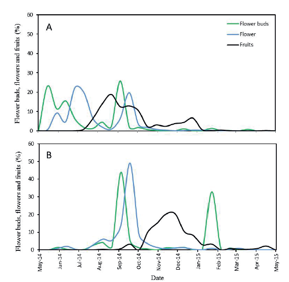Percentages of flower buds (green), flowers (blue) and fruits (black) in shoots of &lsquo;Emerald&rsquo; (A) and &lsquo;Jewel&rsquo; (B) blueberry plants.
