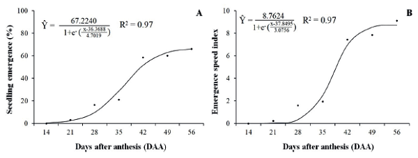 Emergence (A) and emergence speed index (B) of seedlings from maroon cucumber seeds (Liso Gib�o cultivar), according to days after the anthesis (harvest seasons).