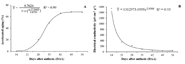 Accelerated aging (A) and electrical conductivity (B) of maroon cucumber seeds (Liso Gib�o cultivar), according to days