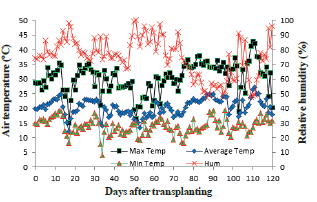 Maximum, average and minimum temperature and relative humidity in Maring�, Paran� state, Brazil, from May to September 2015.