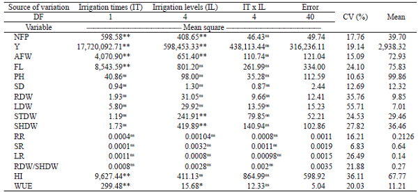Effect of irrigation levels and times on bell peppers yield, under greenhouse conditions.