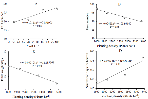 Number of fruits as a function of the ETc (A); and number of fruits (B), hands weight (C) and number of days to harvest (D) as a function of planting density for BRS Platina. * Significant at 0.05 by the t-test; ** significant at 0.01 by the t-test.