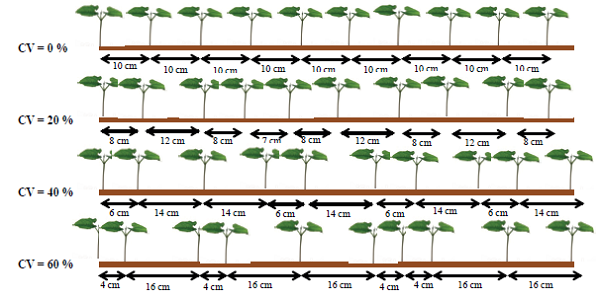 Spatial distribution of common bean plants, as a function of coefficients of variation (CV).