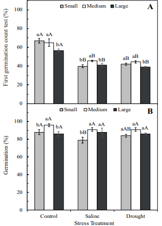 Effects of seed size on the first germination count test