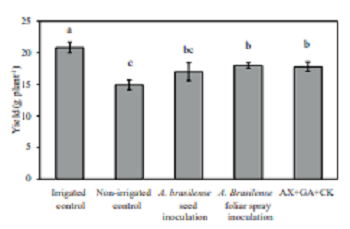 Yield after the imposition of severe drought stress on soybean, in the flowering stage. Bars indicate the standard deviation of the means. Different letters between them indicate a significant difference by the Student-Newman-Keuls test at 5 % of probability.