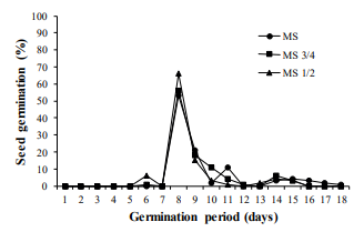 Germination frequency of Physalis peruviana L. seeds in Murashige & Skoog (MS) culture medium with different salt concentrations.