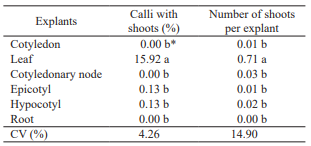 Effect of explant type on the percentage of calli with shoots and number of shoots per explant obtained by indirect organogenesis in explants of Physalis peruviana L.