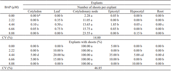Average number of shoots per explant by direct organogenesis and percentage of explants with shoots by direct organogenesis in Physalis peruviana L., after growth for 30 days in Murashige & Skoog � culture medium, with different 6-benzylaminopurine (BAP) concentrations.