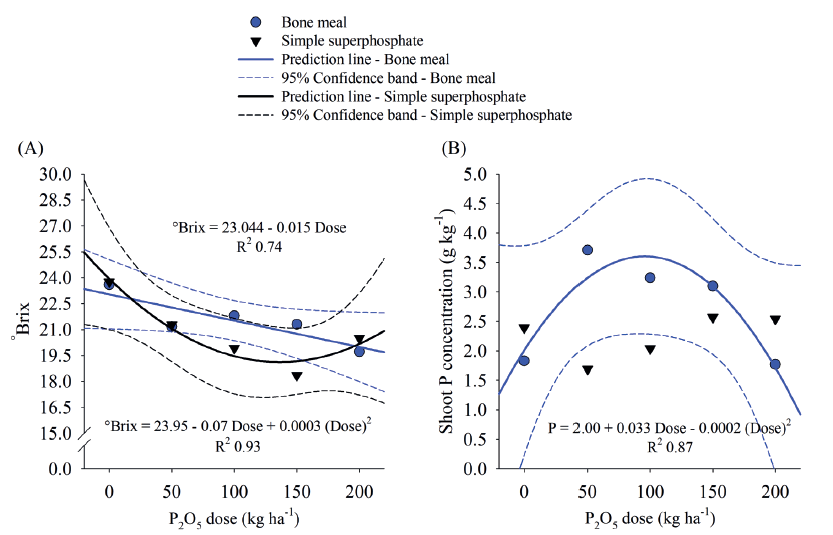 Progress of the interaction between sources of P and doses of P2O5 for soluble solids content (�Brix) (A) and concentration of P in the plant tissue (B).