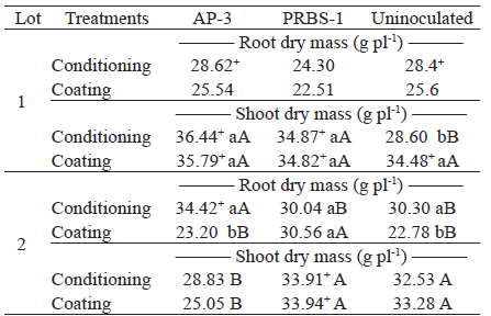Means1 of root and shoot dry mass of Urochloa brizantha (lots 1 and 2) submitted to seed treatments and inoculation with Bacillus subtilis (AP-3 and PRBS-1).