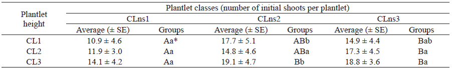 Influence of height and number of initial shoots of Guadua aff. chaparensis plantlets on plant height, after 90 days of pre- acclimatization.