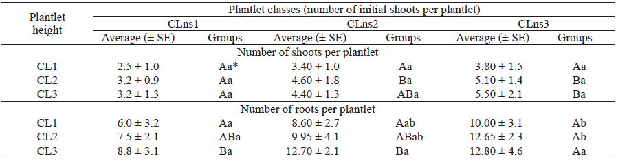 Influence of height and number of shoots of initial Guadua aff. chaparensis plantlets on the number of shoots and roots, at 90 days of pre-acclimatization.