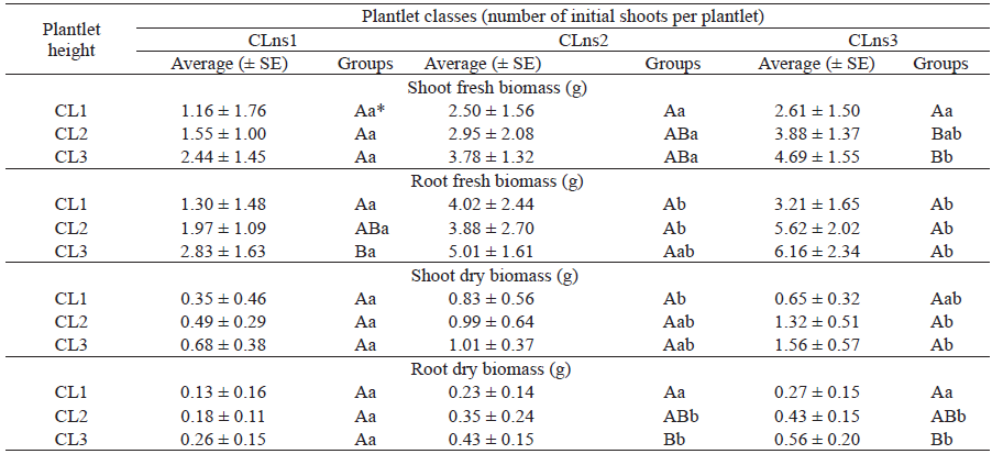 Influence of height and number of initial shoots of Guadua aff. chaparensis plantlets on fresh and dry mass, at 90 days of pre-acclimatization.