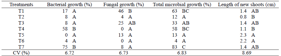 Bacterial fungal and total microbial growth and length of new shoots during the in vitro establishment of Bambusa oldhamii nodal segments after disinfection treatments
