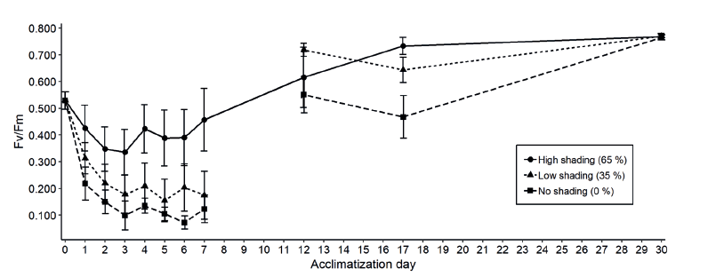 Fv/Fm in Guadua chacoensis plantlets under levels of shading over 30 days of acclimatization. Error bars: 95 % of the confidence interval.