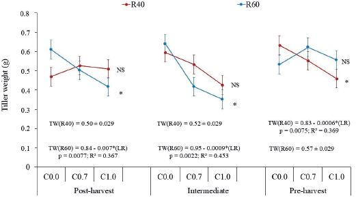 Tiller weight (TW) of Urochloa decumbens cv. Basilisk, according to the interaction regrowth phase x liming rates (LR) x defoliation severities. For each regrowth phase, asterisks indicate significant differences between liming rates; NS indicates non-significant differences between regrowth phases; C0.0, C0.7 and C1.0 represent swards without liming, or liming rates equivalent to 0.7 t ha-1 or 1.0 t ha-1 of limestone, respectively; R40 and R60 correspond to stubble of 40 % or 60 % of the pre-harvest height, respectively.