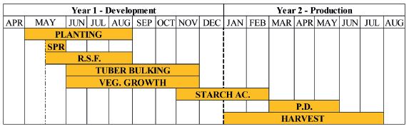 Mean phenology of sweet cassava for the S�o Paulo state. SPR: sprouting; R.S.F.: root system formation; VEG.: vegetative; AC.: accumulation; P.D.: physiological dormancy.