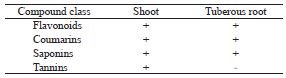 Qualitative phytochemical analysis of the shoot and tuberous root of Pachyrhizus erosus aqueous extracts.