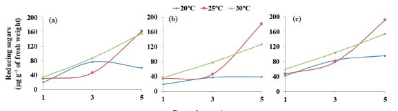 Amount of reducing sugars in the cotyledon at one, three and five days after sowing of watermelon seeds (Citrullus lanatus) of the Charleston Gray (a), Fairfax (b) and Crimson Sweet (c) cultivars subjected to thermal stress.