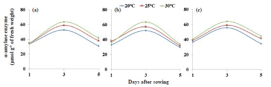 Activity of the α-amylase enzyme on the cotyledon at one, three and five days after sowing of watermelon seeds (Citrullus lanatus) of the Charleston Gray (a), Fairfax (b) and Crimson Sweet (c) cultivars subjected to thermal stress.