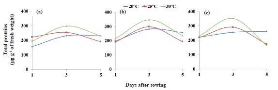 Amount of total proteins in the cotyledon at one, three and five days after sowing of watermelon seeds (Citrullus lanatus) of the Charleston Gray (a), Fairfax (b) and Crimson Sweet (c) cultivars subjected to thermal stress.