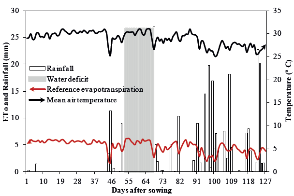 Climatic data (rainfall, reference evapotranspiration – Eto and mean air temperature) and water deficit imposition period (stage VT to R2) throughout the phenological cycle of corn hybrids