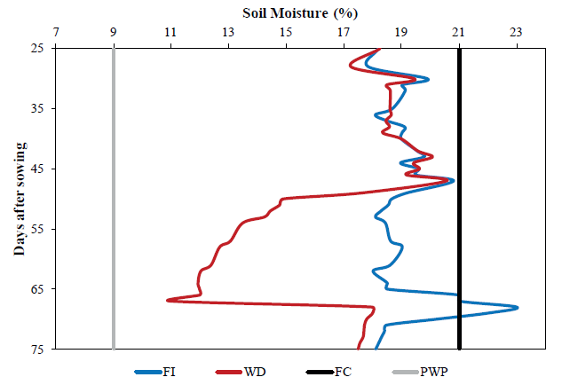 Variation of soil moisture (%) at a depth of 0.40 m throughout the phenological cycle of corn hybrids submitted to water deficit (WD) and full irrigation (FI) conditions. The field capacity (FC) and permanent wilting point (PWP) are also represented