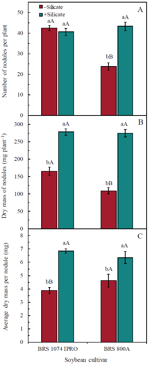 Effect of soil fertilization (+silicate) and nonfertilization (-silicate) with calcium silicate on number of nodules per plant (A), dry mass of nodules (B) and average dry mass per nodule (C), in two soybean cultivars, under well watering conditions. Bars followed by the same lower-case letter between the silicate treatments or the same upper-case letter, for the two soybean cultivars, are not significantly different by the F test at 0.05 of significance. Data refer to mean values (n = 6)  standard error