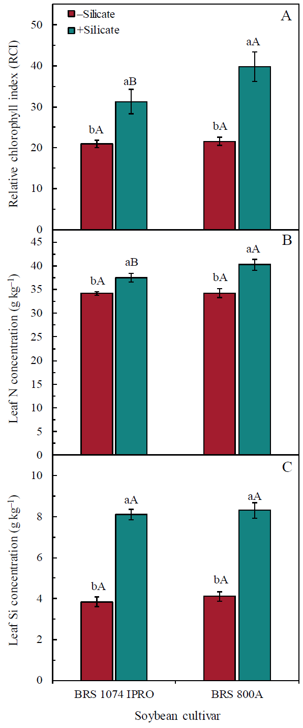 Effect of soil fertilization (+silicate) and nonfertilization (-silicate) with calcium silicate on relative chlorophyll index (A), nitrogen concentration (B) and silicon (C) in the leaves of two soybean cultivars, in well watering conditions. Bars followed by the same lower-case letter between the silicate treatment or the same upper-case letter, for the two soybean cultivars, are not significantly different by the F test at 0.05 of significance. Data refer to mean values (n = 6)  standard error.